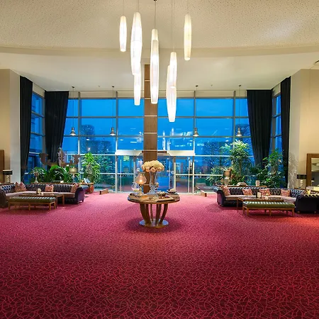 科克国际大酒店 酒店 科克