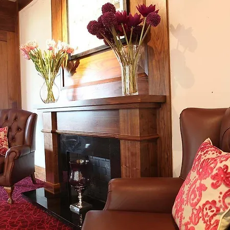 科克国际大酒店 科克