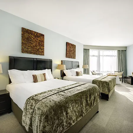 Hotel International