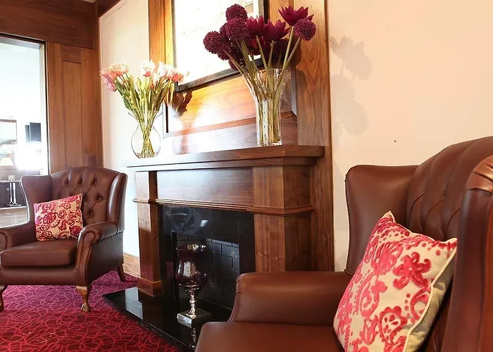 International Корк